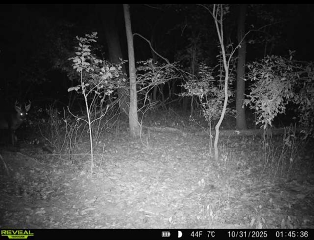 34531 S Lakeside Terrace, Wilmington, IL 60481