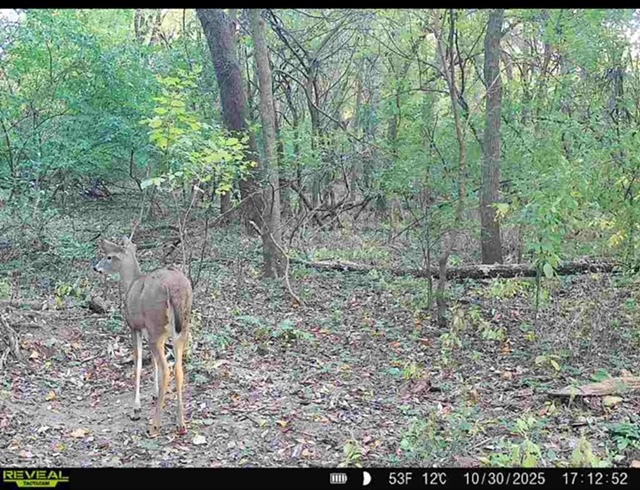 34531 S Lakeside Terrace, Wilmington, IL 60481