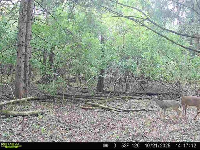 34531 S Lakeside Terrace, Wilmington, IL 60481