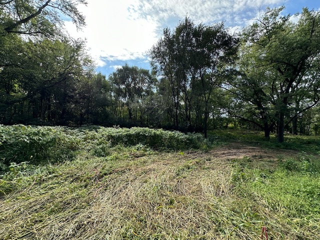 34531 S Lakeside Terrace, Wilmington, IL 60481