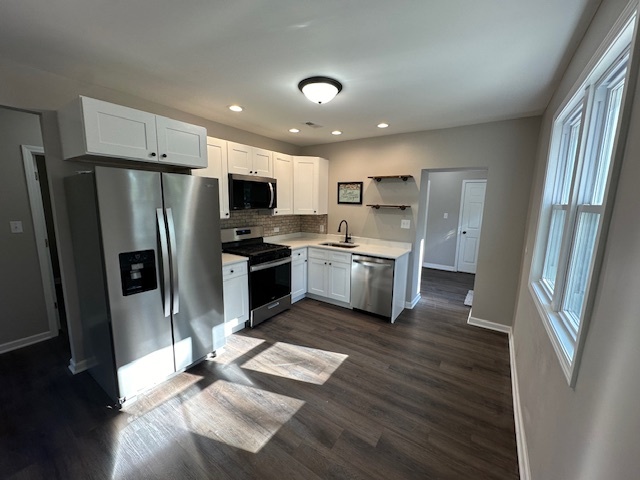 34531 S Lakeside Terrace, Wilmington, IL 60481