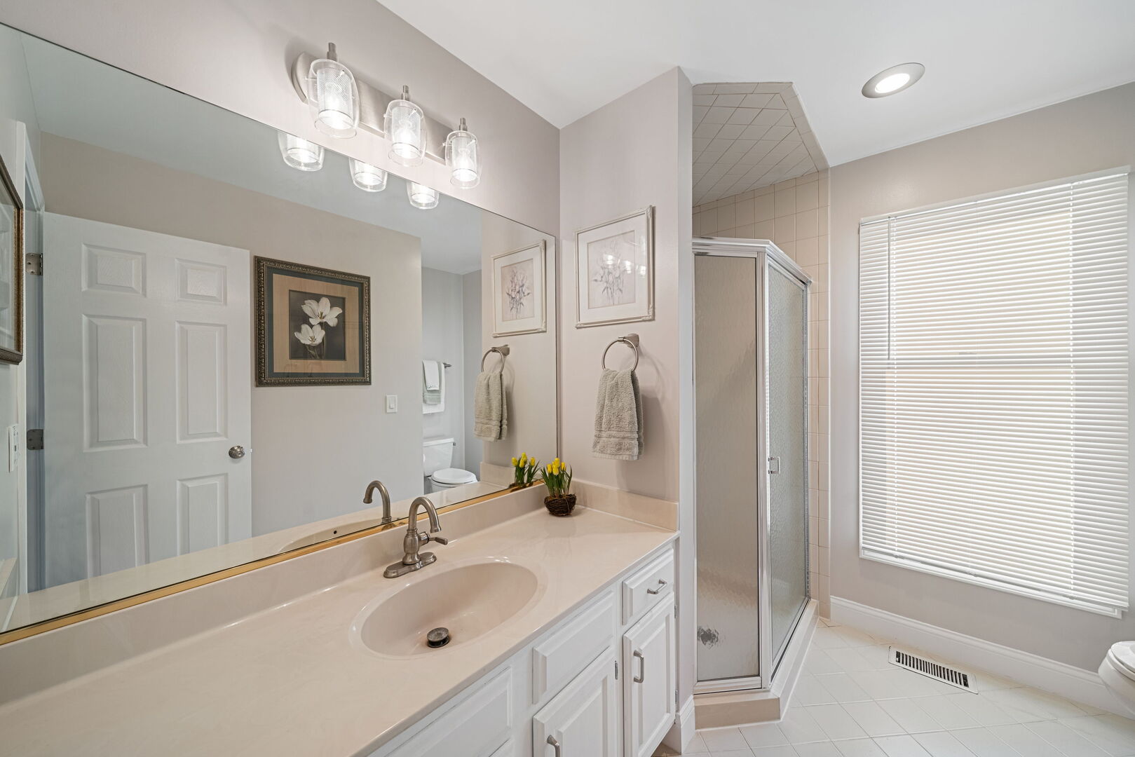 701 N Victoria Drive, Palatine, IL 60074