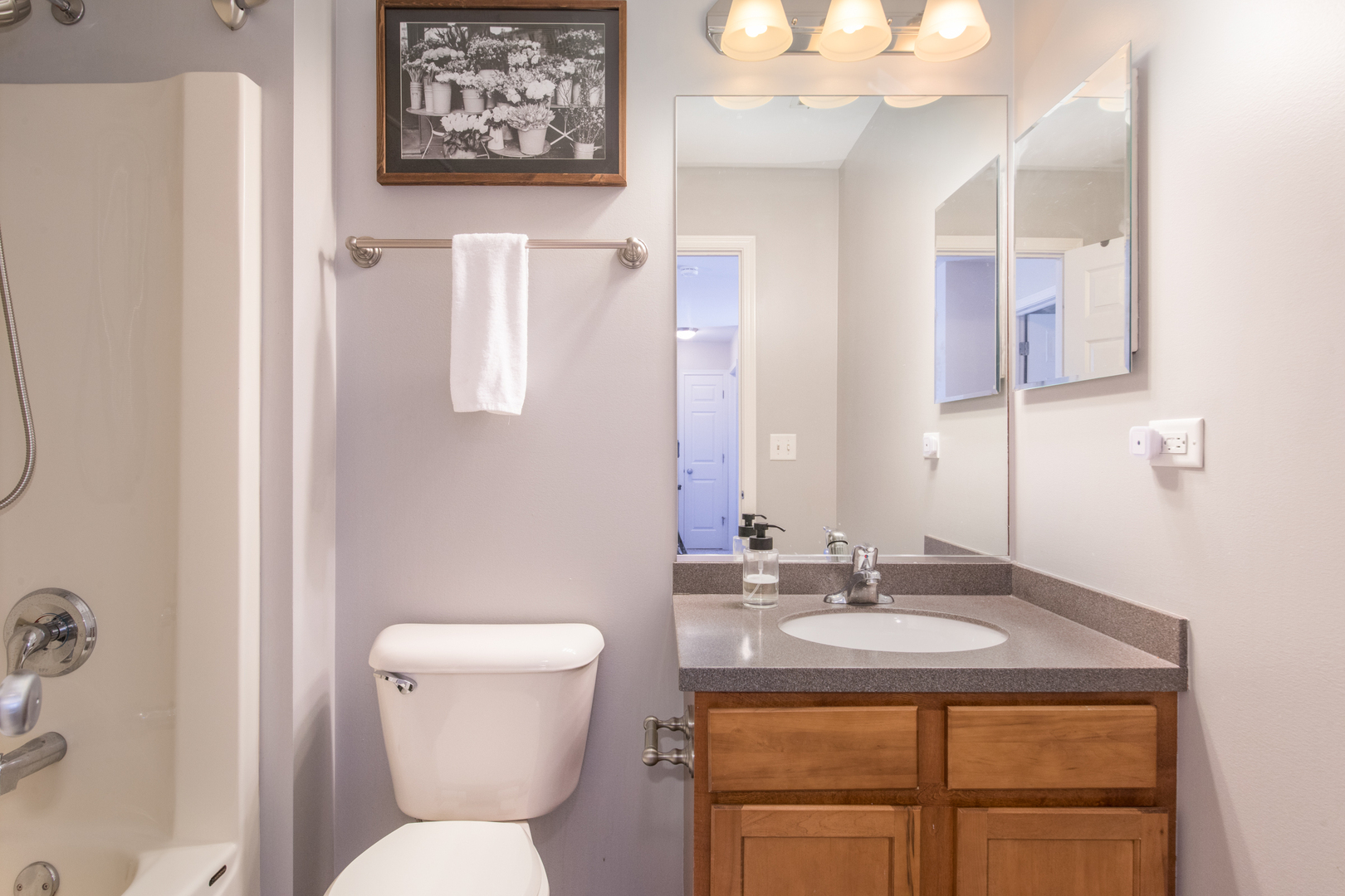 857 Great Falls Drive, Volo, IL 60073