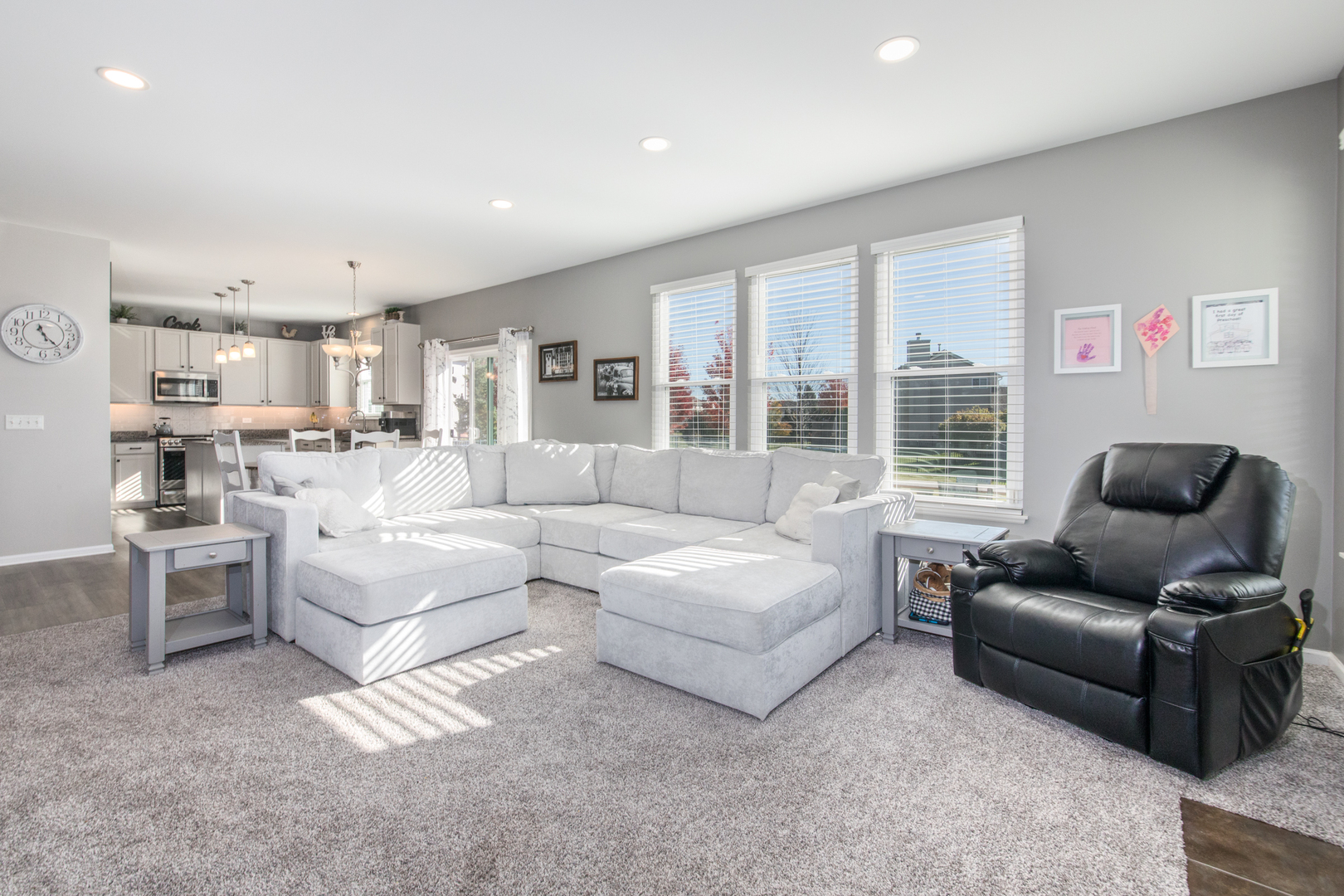 857 Great Falls Drive, Volo, IL 60073