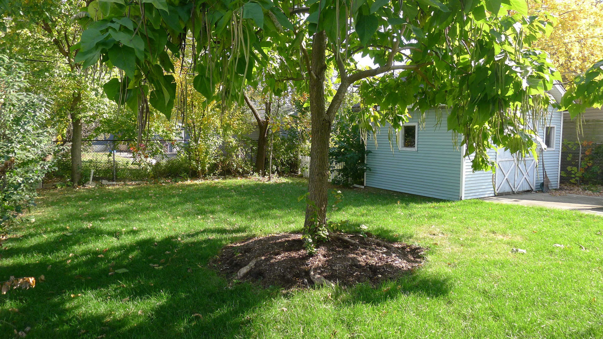 Midlothian, IL 60445