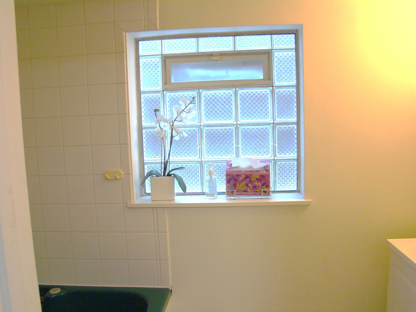 8732 S Calumet Avenue, Chicago, IL 60619