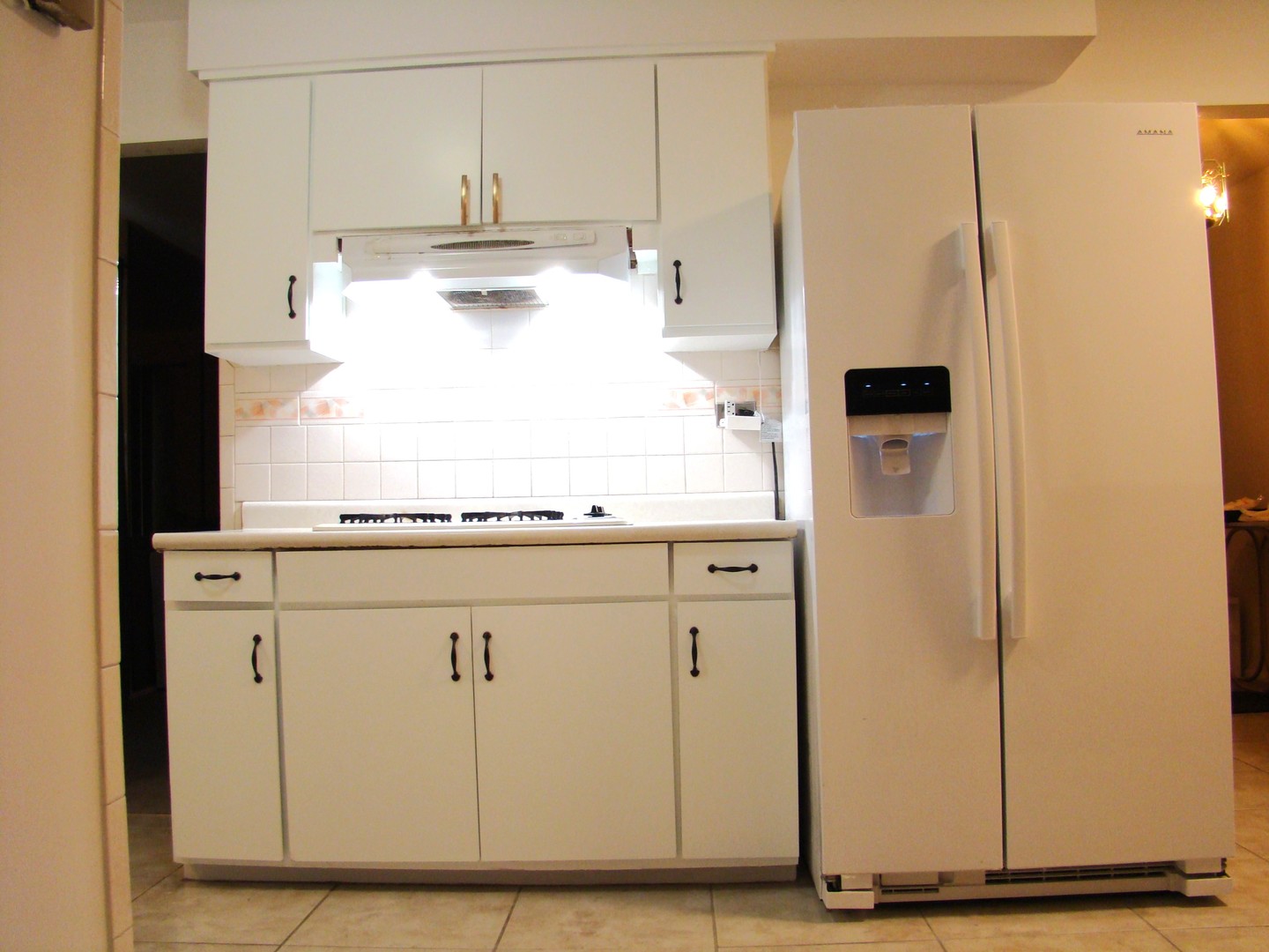 8732 S Calumet Avenue, Chicago, IL 60619