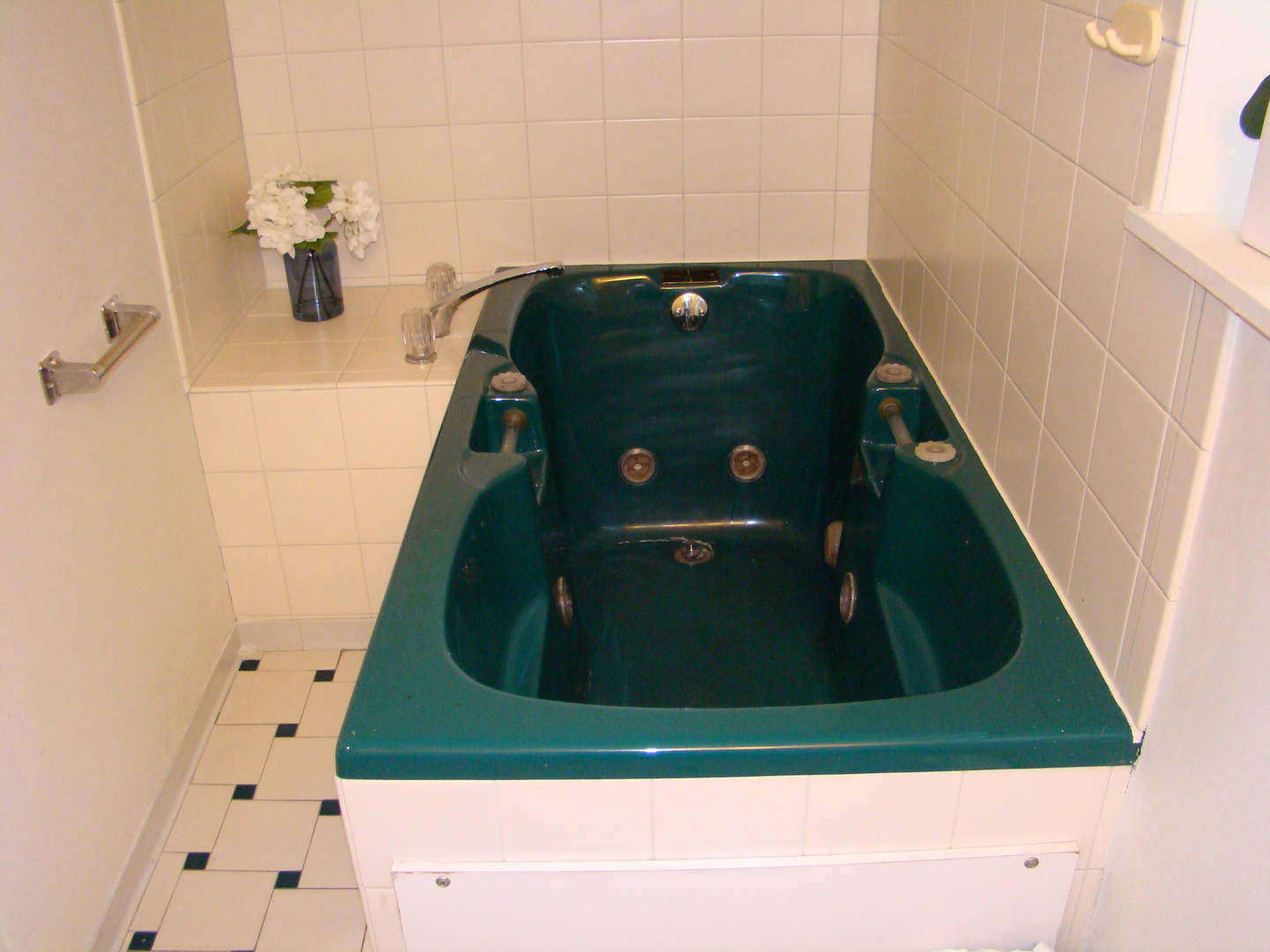 8732 S Calumet Avenue, Chicago, IL 60619