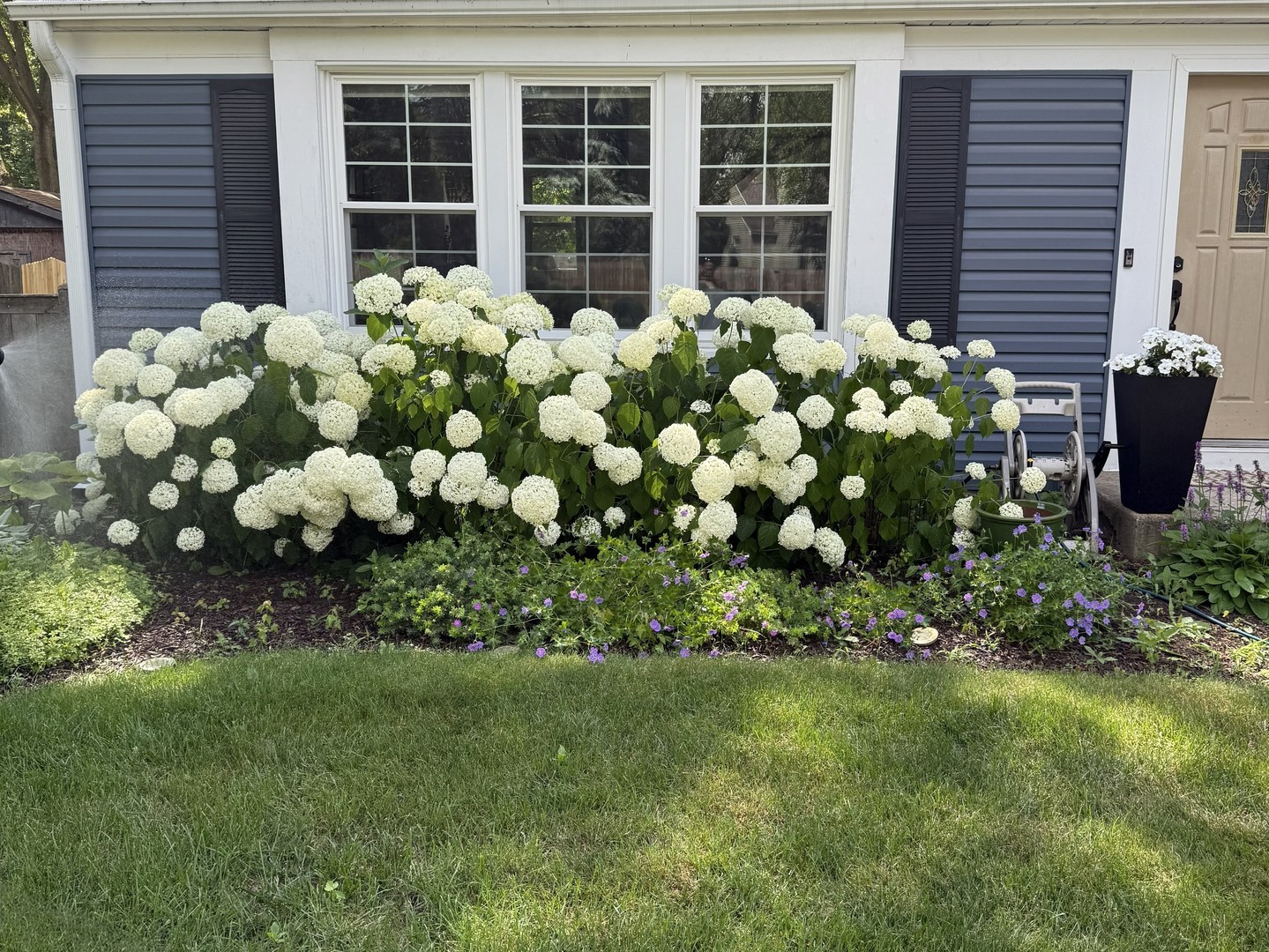 Naperville, IL 60565