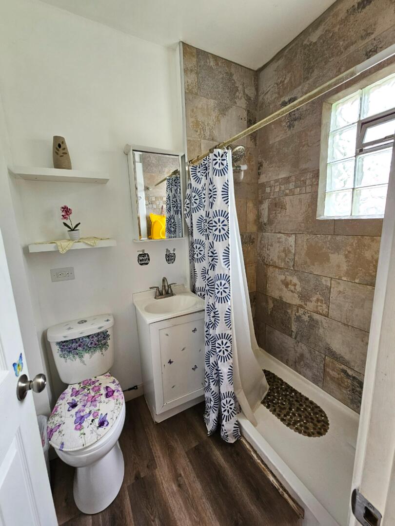 454 S Desplaines Street, Joliet, IL 60436