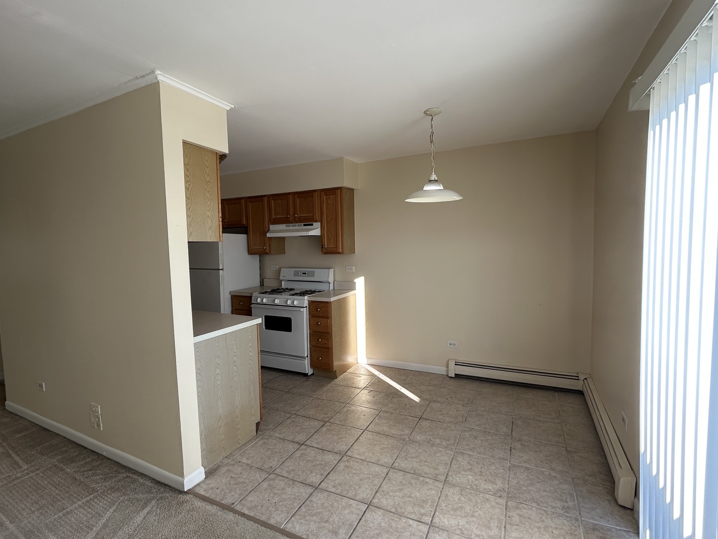 1120 Copperfield Lane #E, Schaumburg, IL 60193