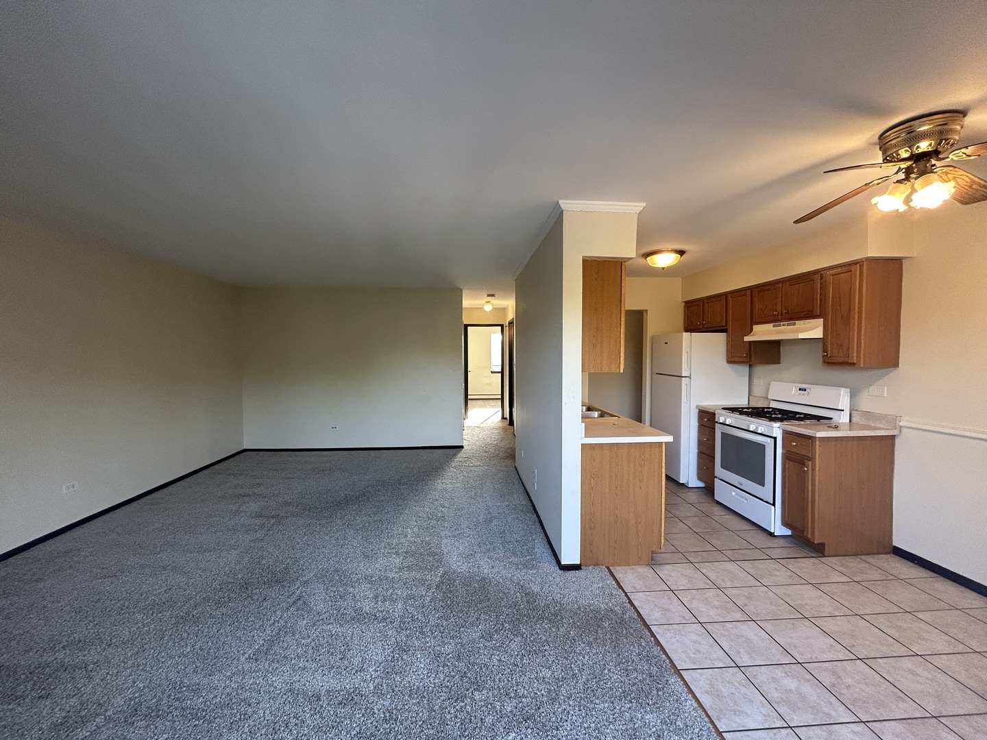 1120 Copperfield Lane #E, Schaumburg, IL 60193