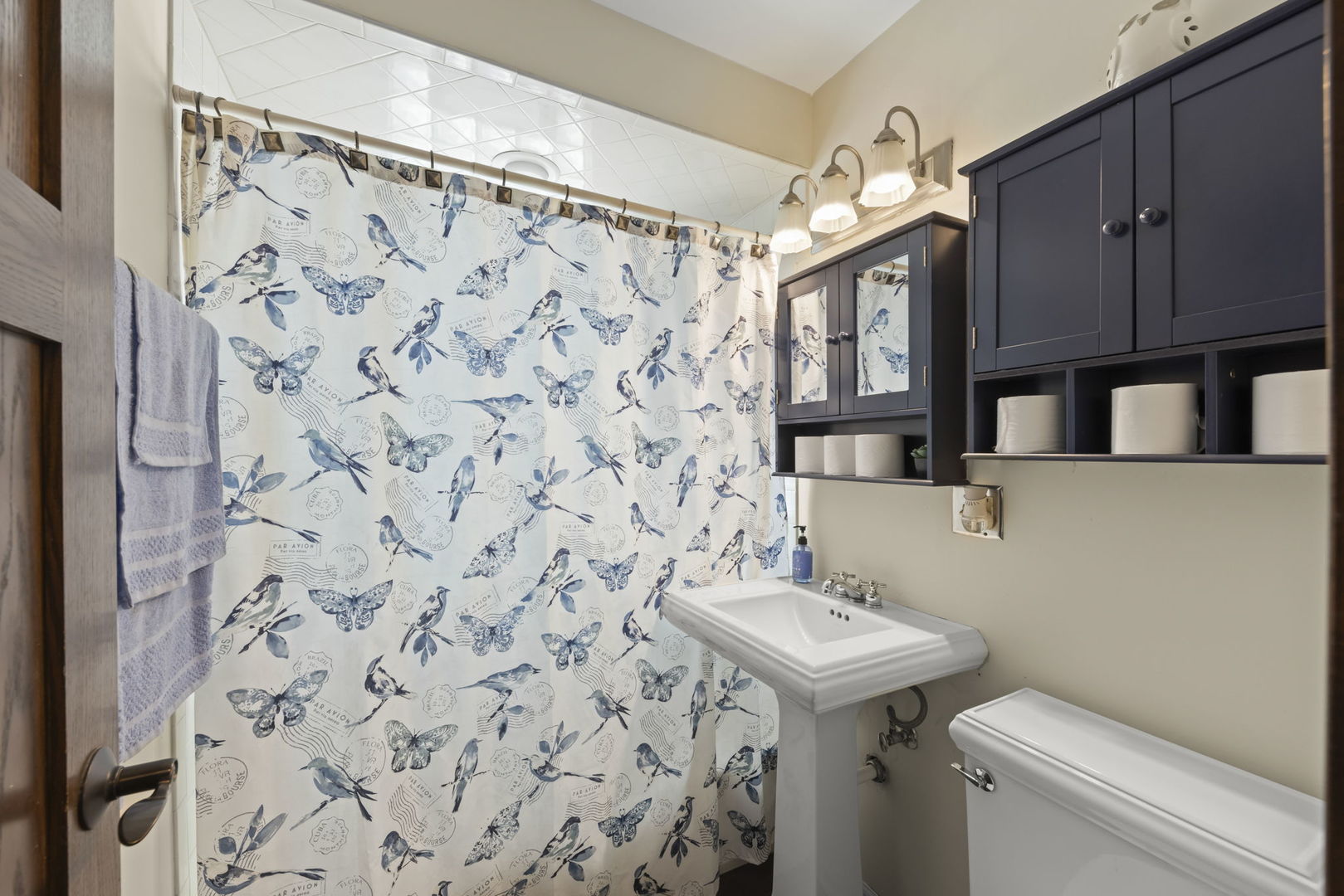 1913 Birch Road, Homewood, IL 60430