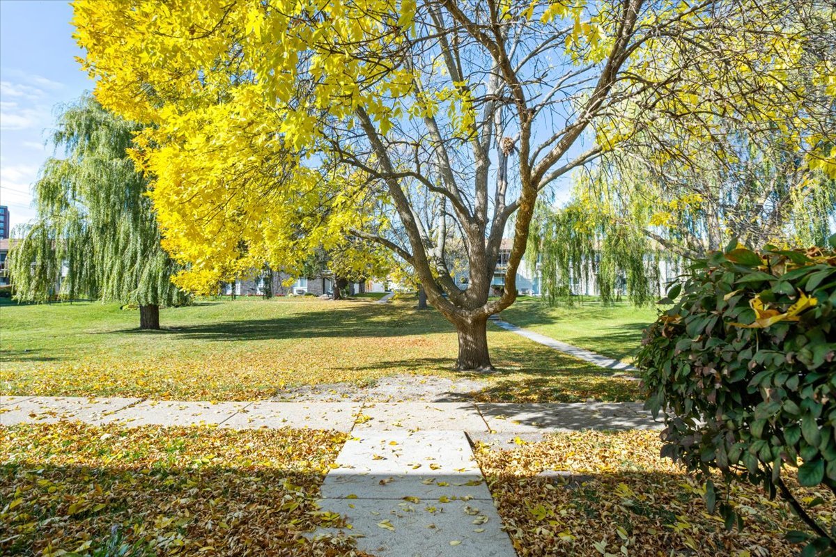 8896 David Place #2E, Des Plaines, IL 60016