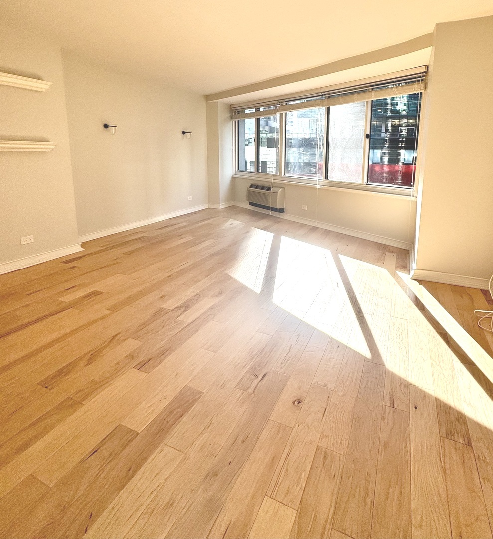 211 E Ohio Street #1215, Chicago, IL 60611