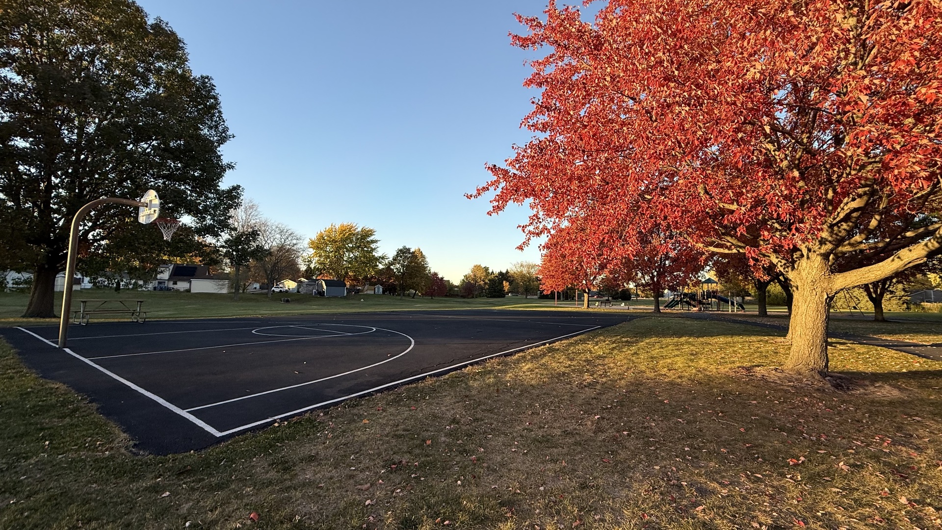 785 Clearwood Court, Aurora, IL 60504