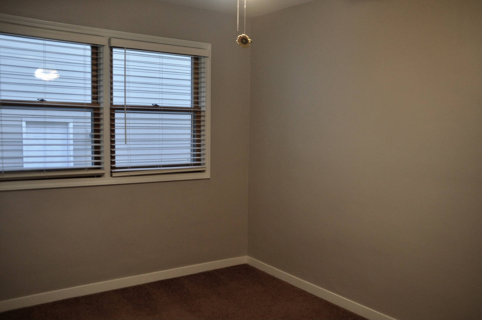 110 W 12th Avenue, Naperville, IL 60563