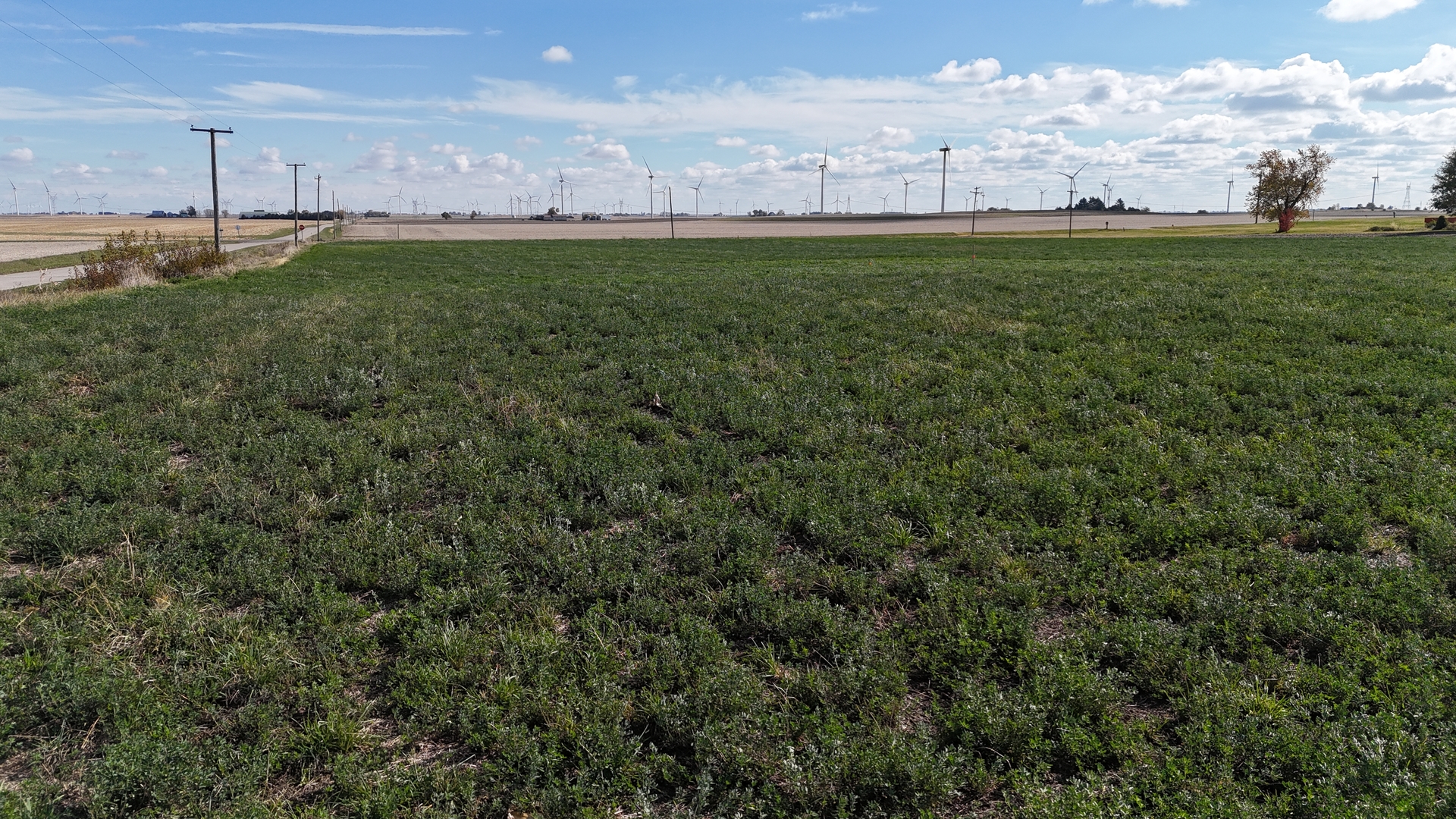 21416 E 2300 Road, Odell, IL 60460