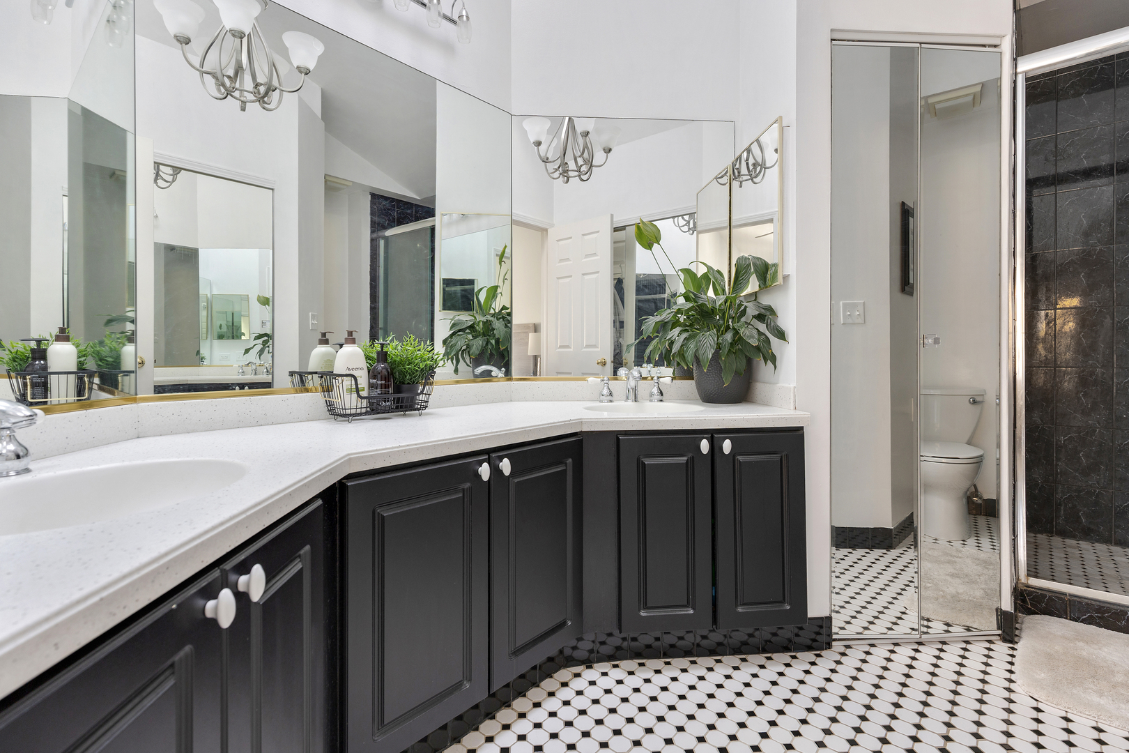 1437 WHITMAN Court, Schaumburg, IL 60173