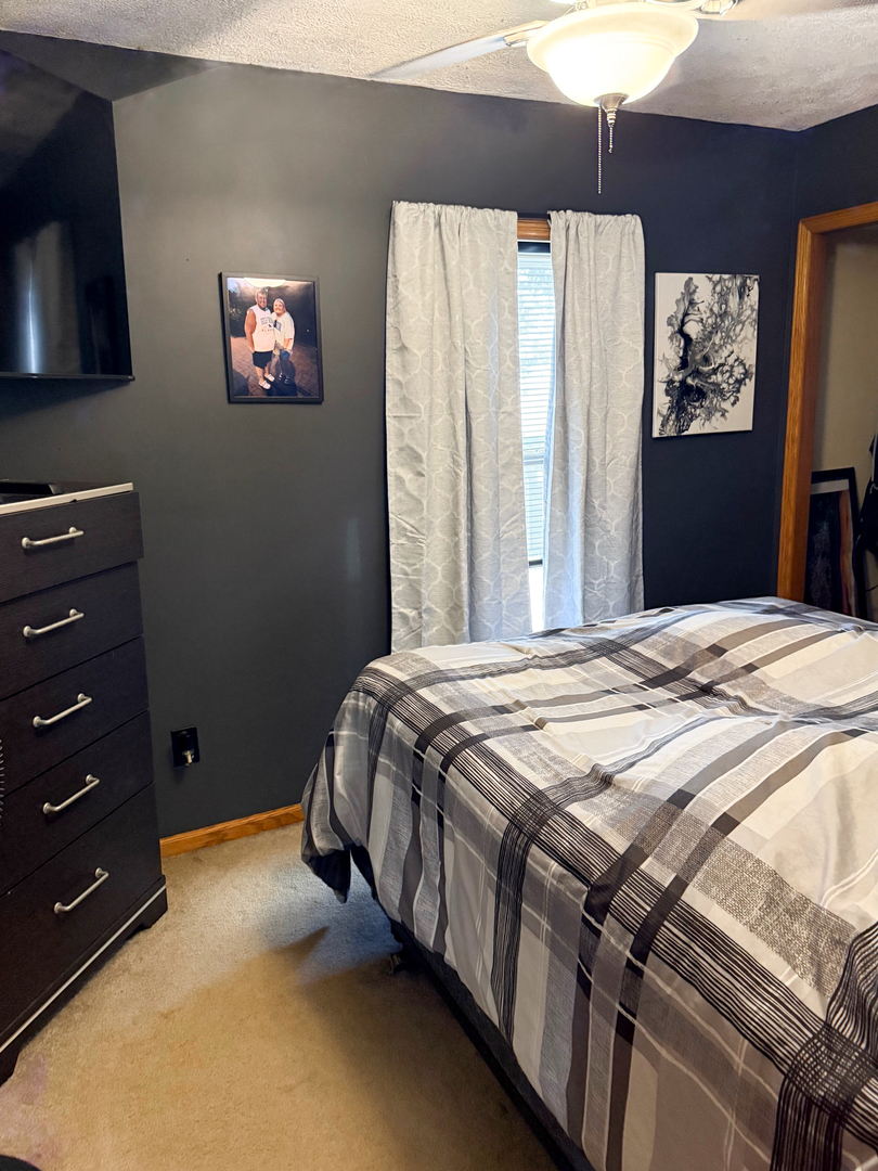 307 W Elk Street, Odell, IL 60460