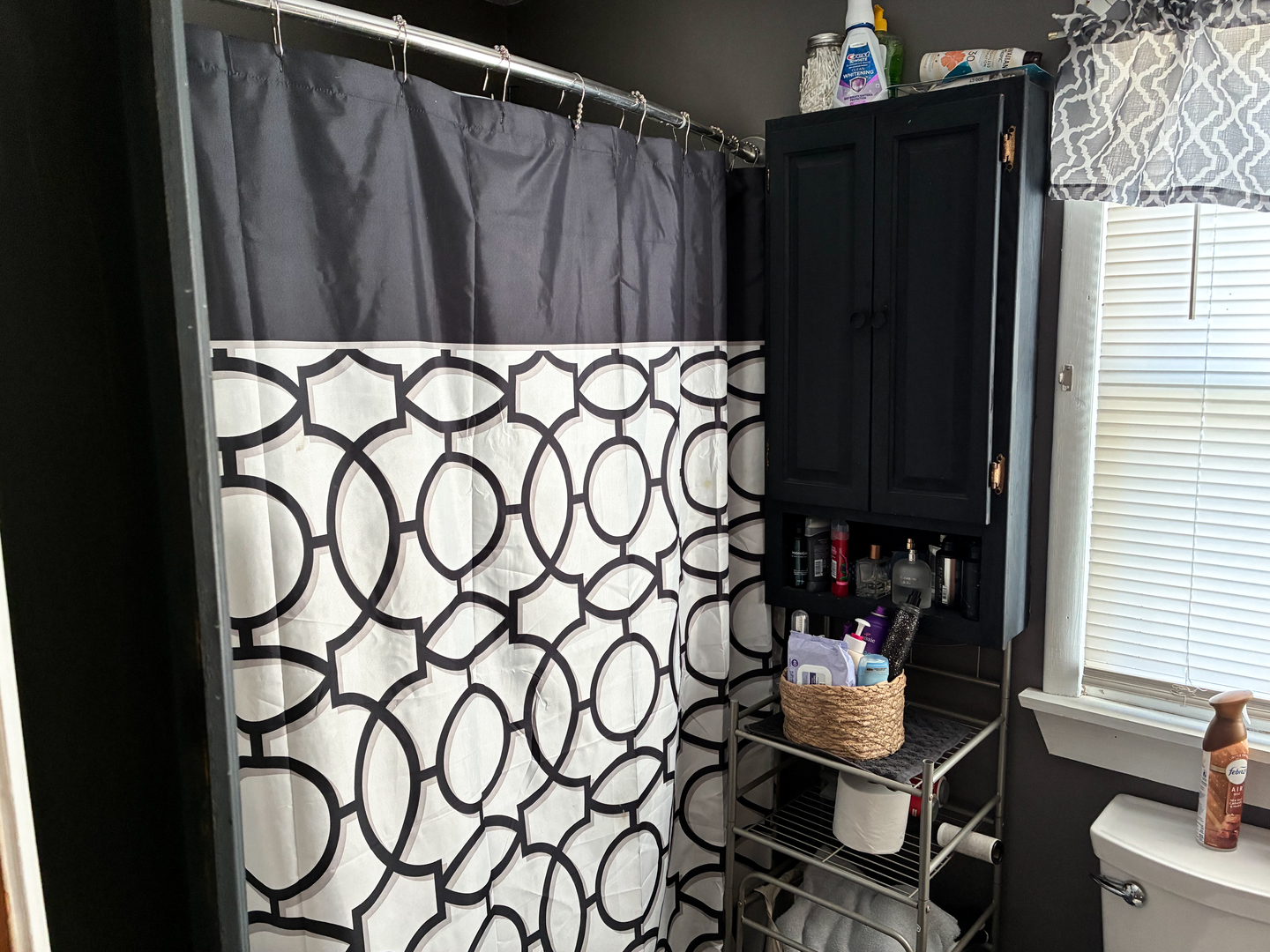 307 W Elk Street, Odell, IL 60460