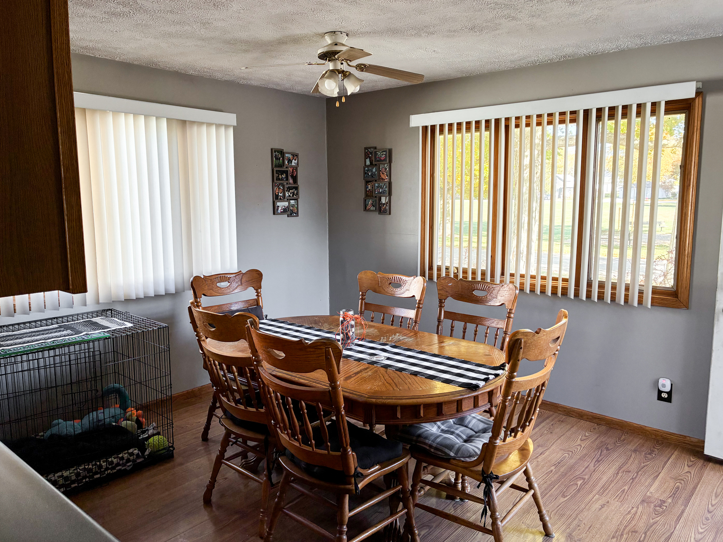 307 W Elk Street, Odell, IL 60460