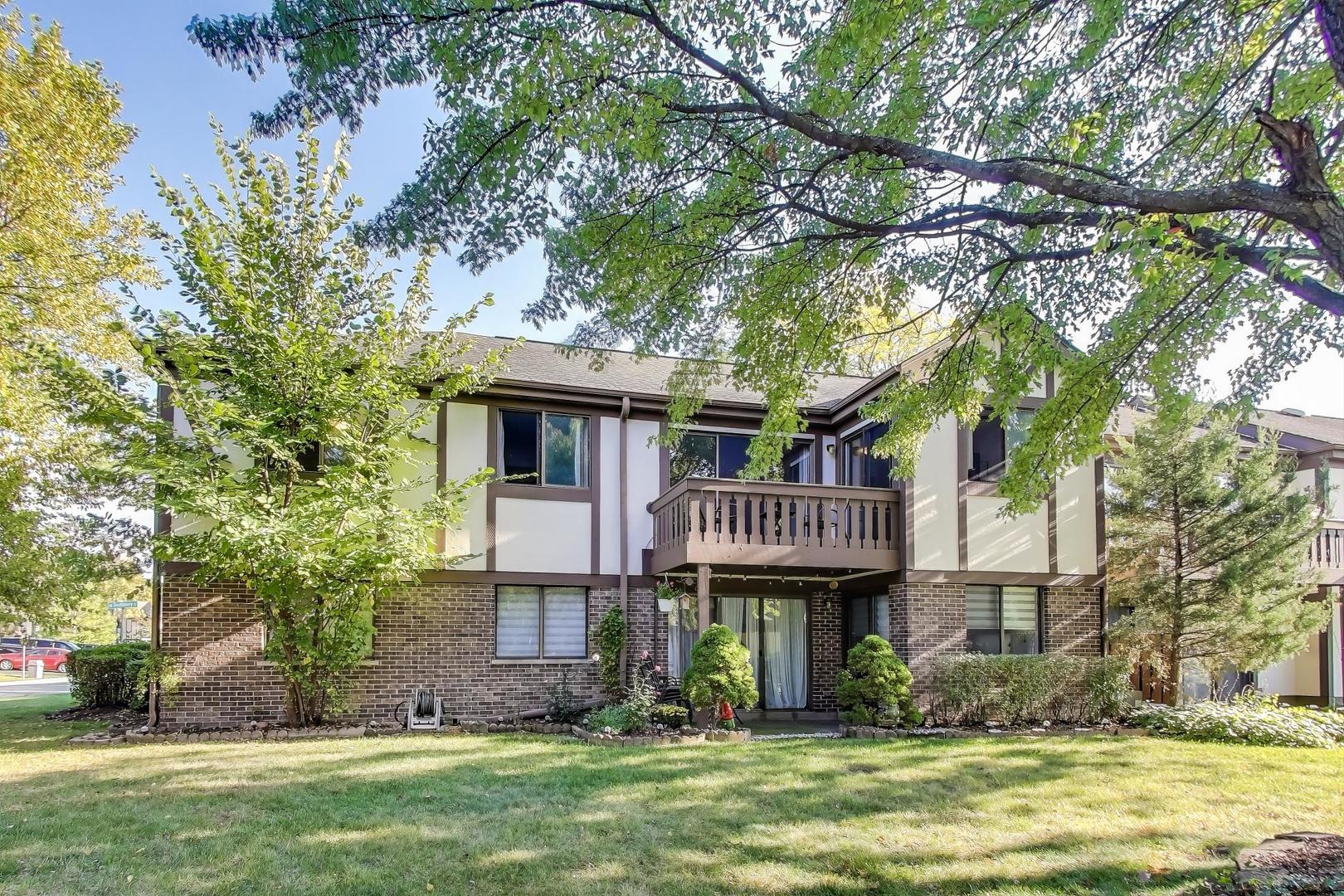 368 Southbury Court #D2, Schaumburg, IL 60193