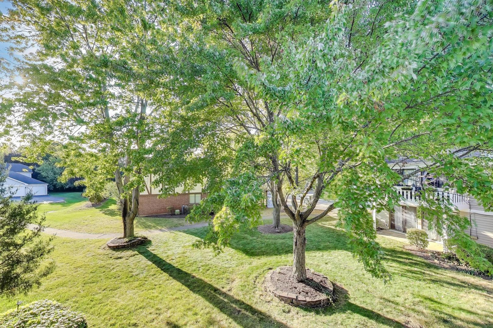 368 Southbury Court #D2, Schaumburg, IL 60193