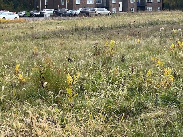 Lot 1 Reckinger Road, Aurora, IL 60505