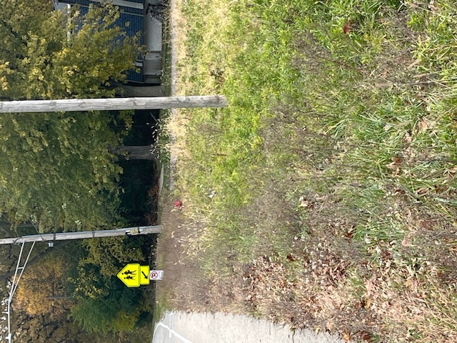 Lot 1 Reckinger Road, Aurora, IL 60505