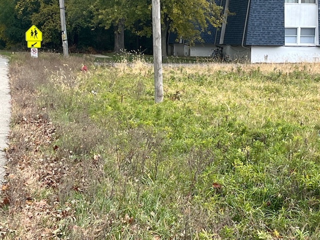 Lot 1 Reckinger Road, Aurora, IL 60505