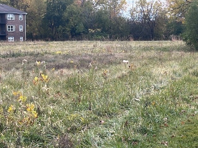 Lot 1 Reckinger Road, Aurora, IL 60505