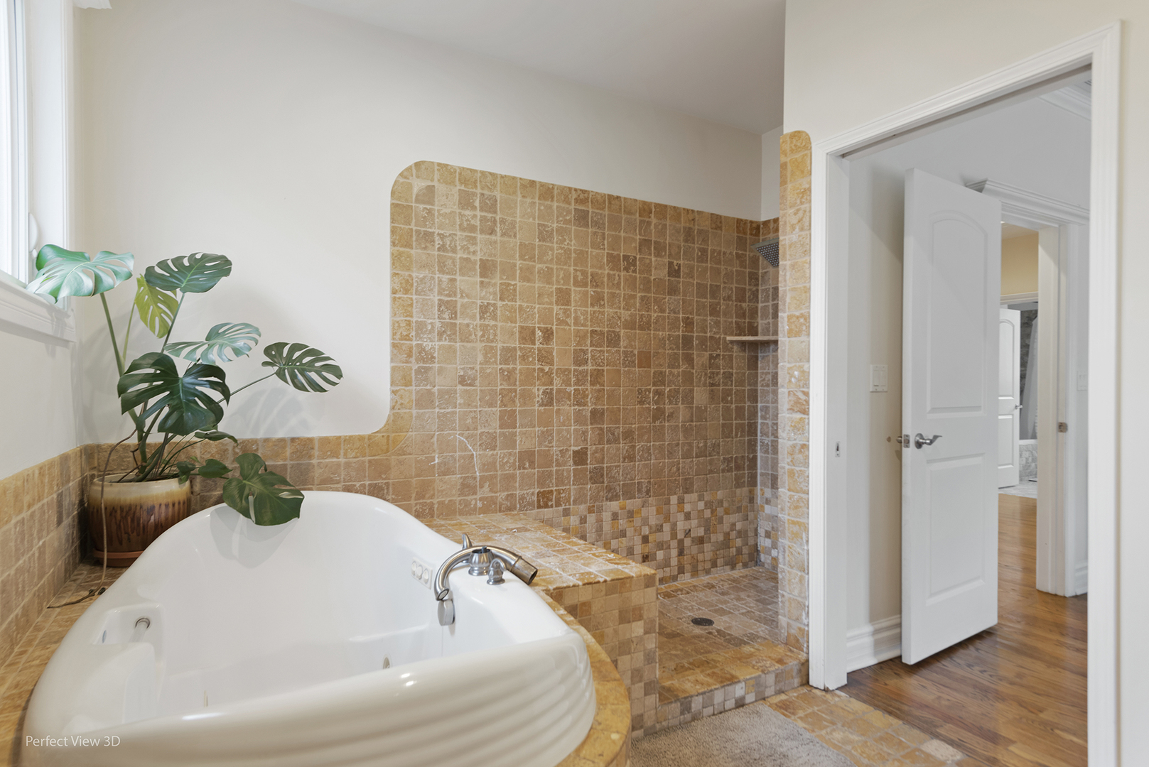 1712 Woodland Avenue, Park Ridge, IL 60068