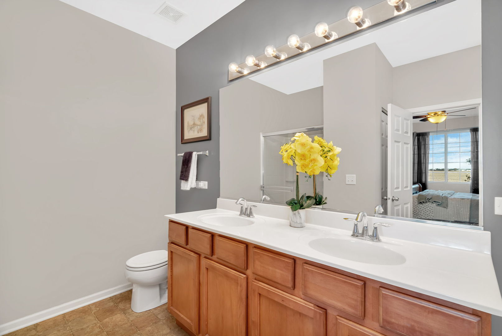 25408 Cove Court, Plainfield, IL 60544