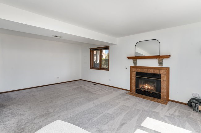 9280 Windsor Parkway, Tinley Park, IL 60487