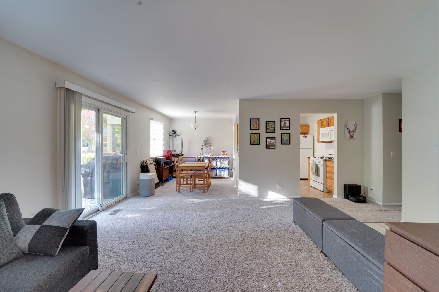 160 Stirling Lane #X1, Schaumburg, IL 60194