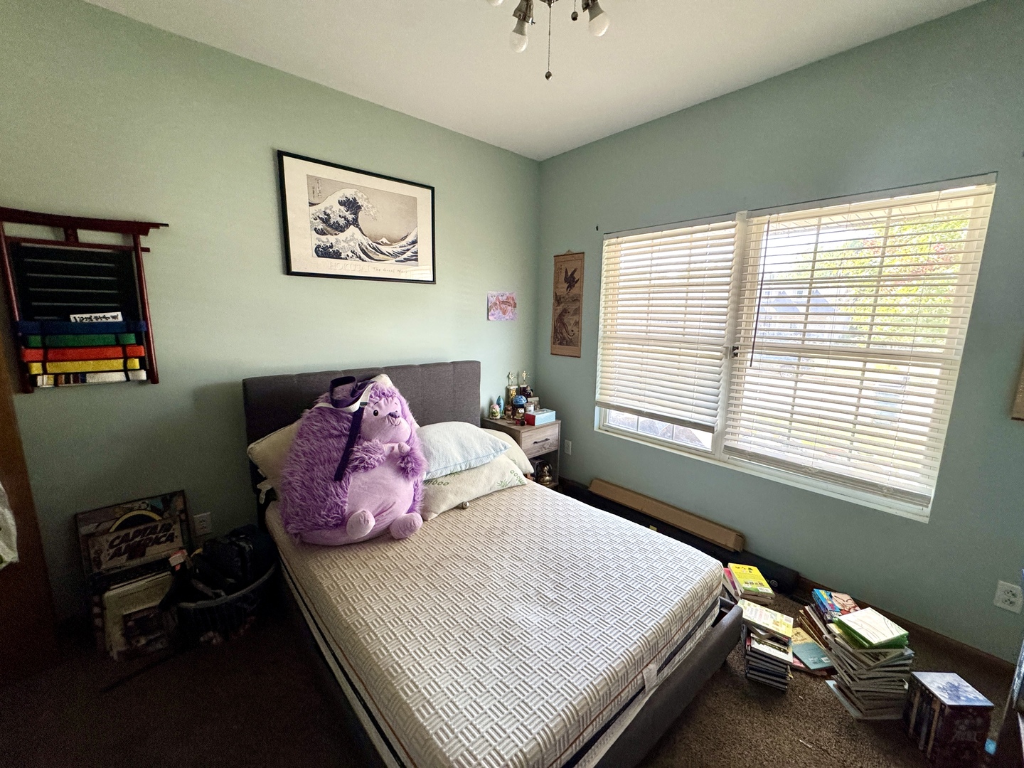 815 W Hudson Street, Princeton, IL 61356