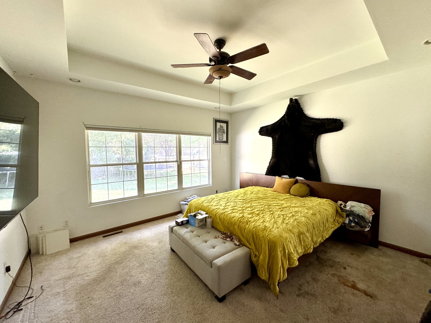 815 W Hudson Street, Princeton, IL 61356