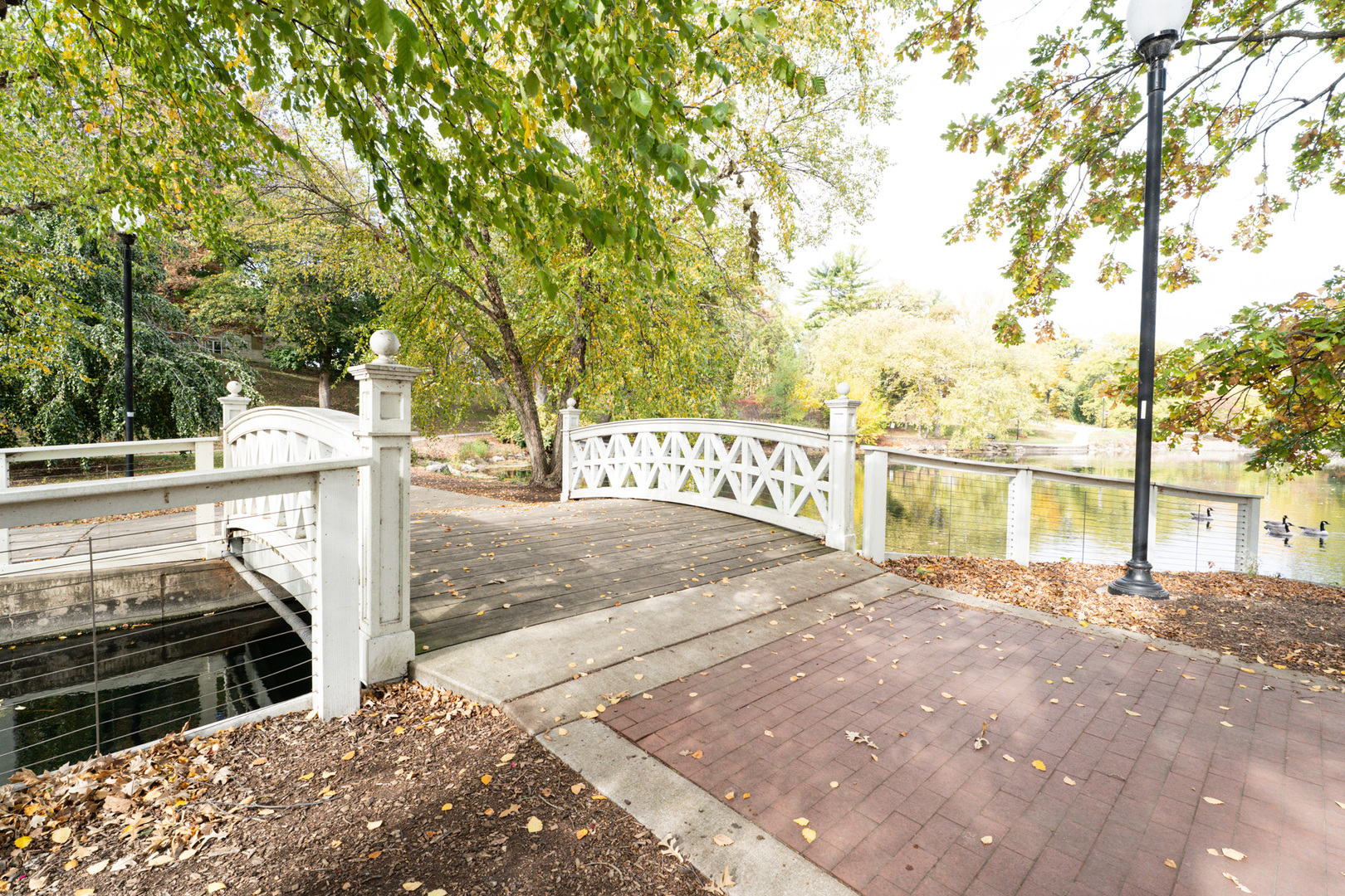 774 Terrace Court #T, Elgin, IL 60120