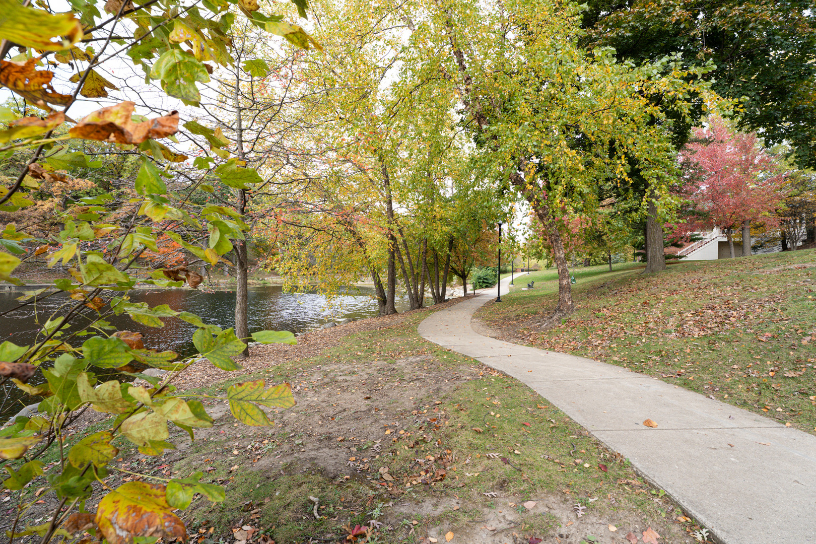 774 Terrace Court #T, Elgin, IL 60120