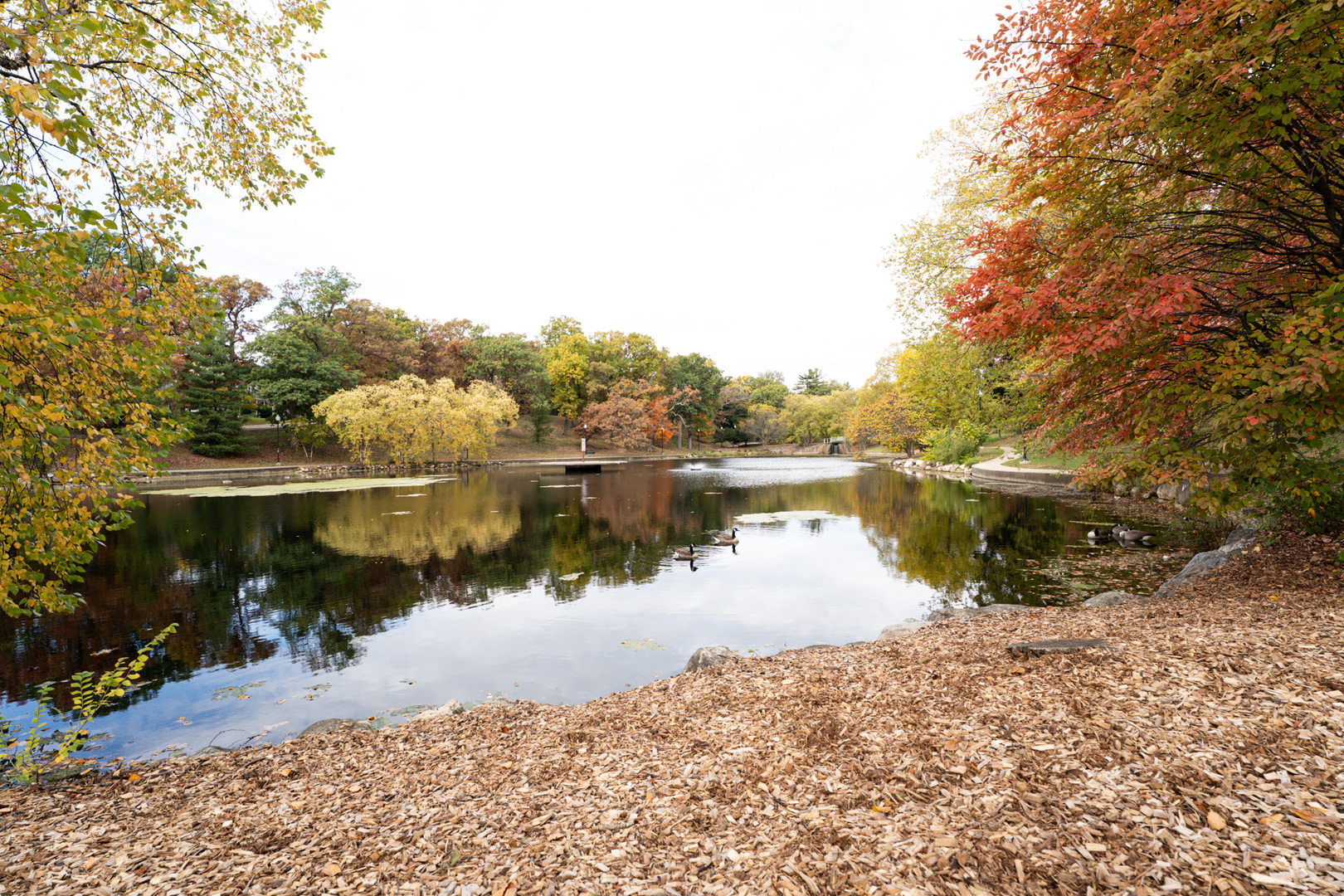 774 Terrace Court #T, Elgin, IL 60120