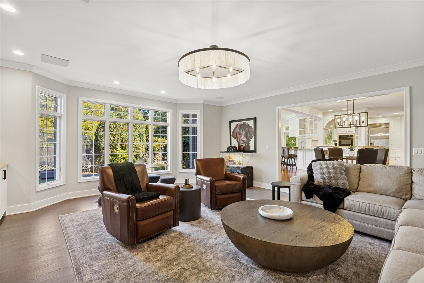 245 Meadowbrook Lane, Hinsdale, IL 60521