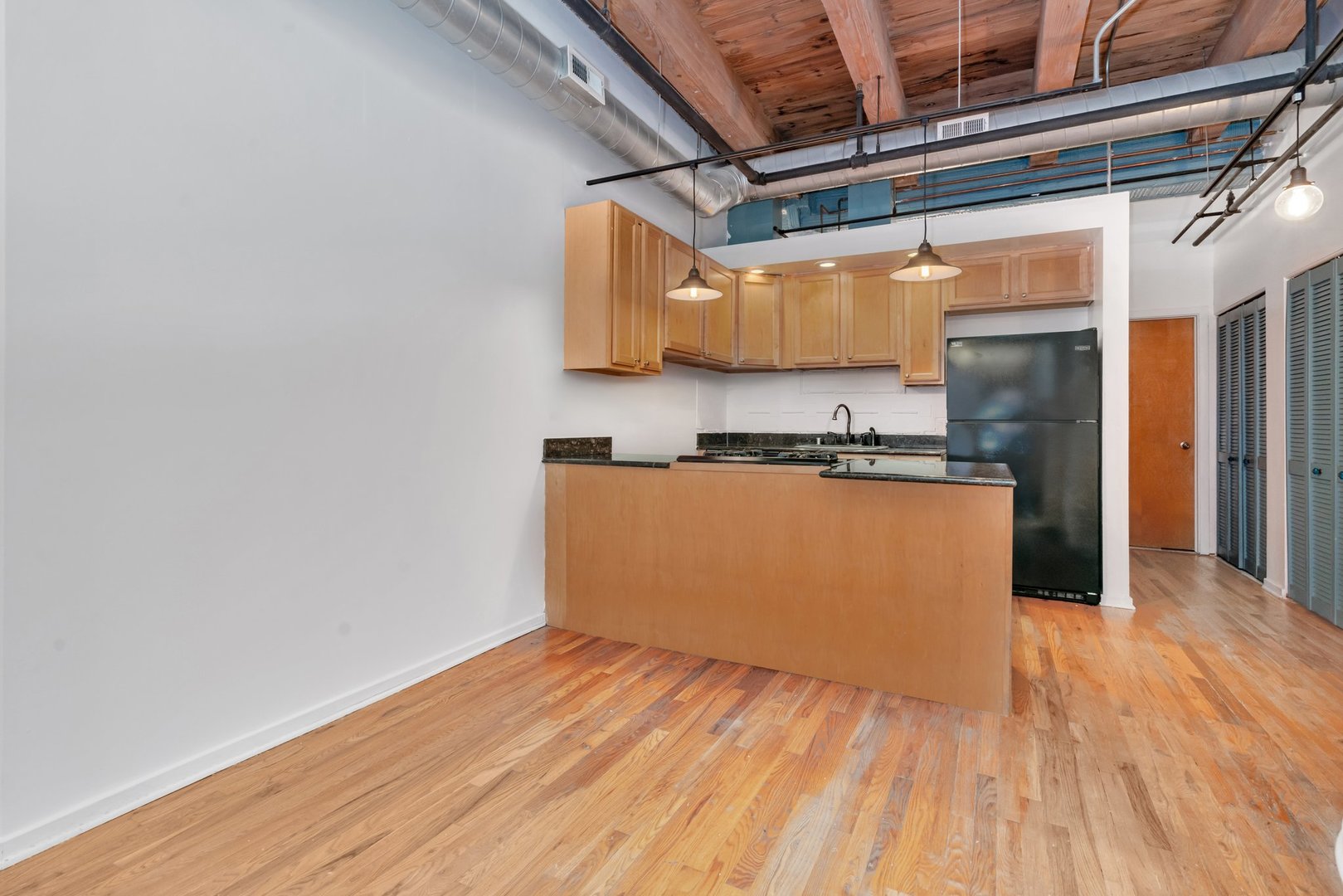 2310 S Canal Street #212, Chicago, IL 60616