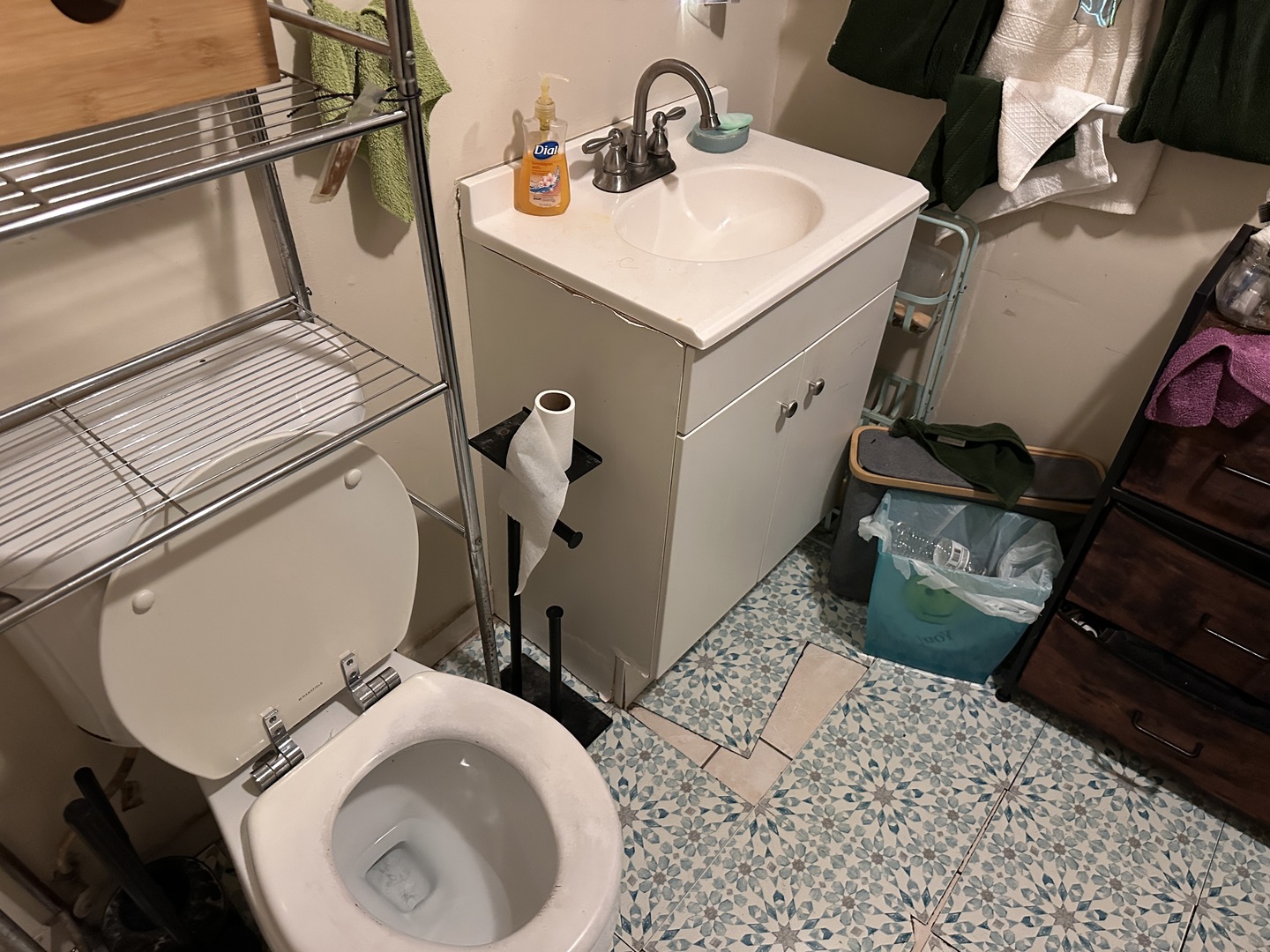 1842 S Drake Avenue, Chicago, IL 60623