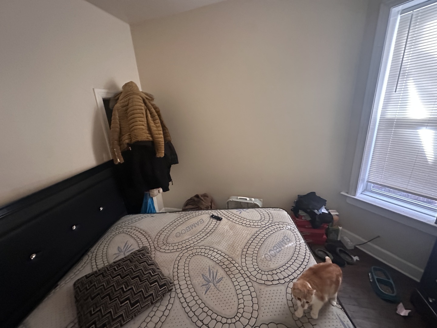 1613 S CENTRAL PARK Avenue, Chicago, IL 60623