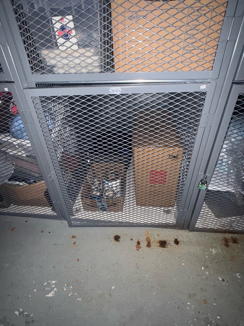 1400 S Michigan Avenue #2503, Chicago, IL 60605