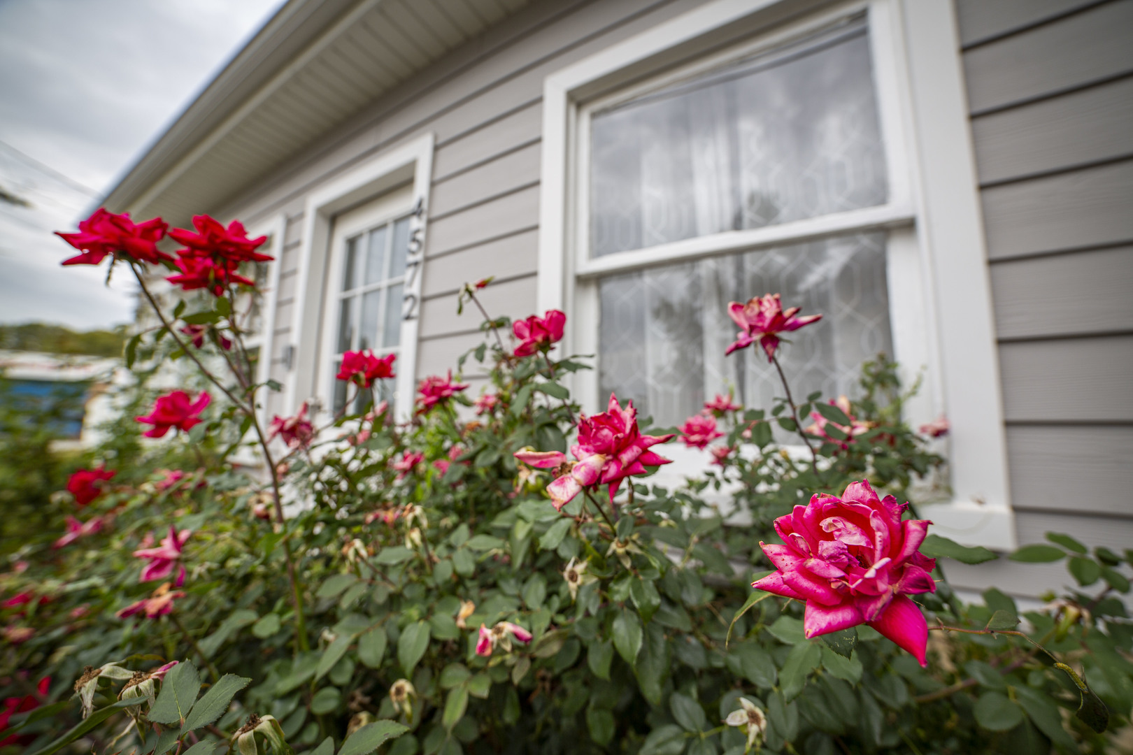 4572 Rumsey Avenue, Oak Lawn, IL 60453