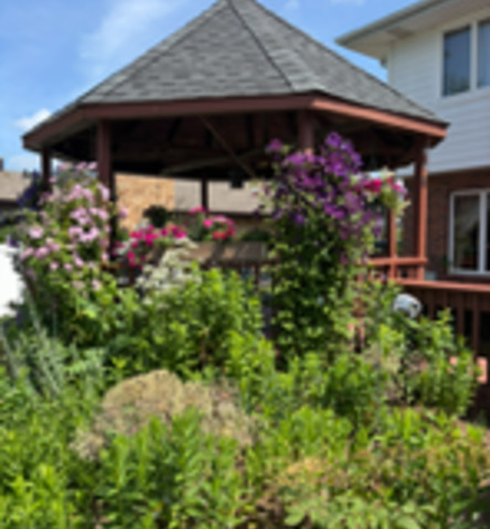 1525 Cimarron Drive, New Lenox, IL 60451