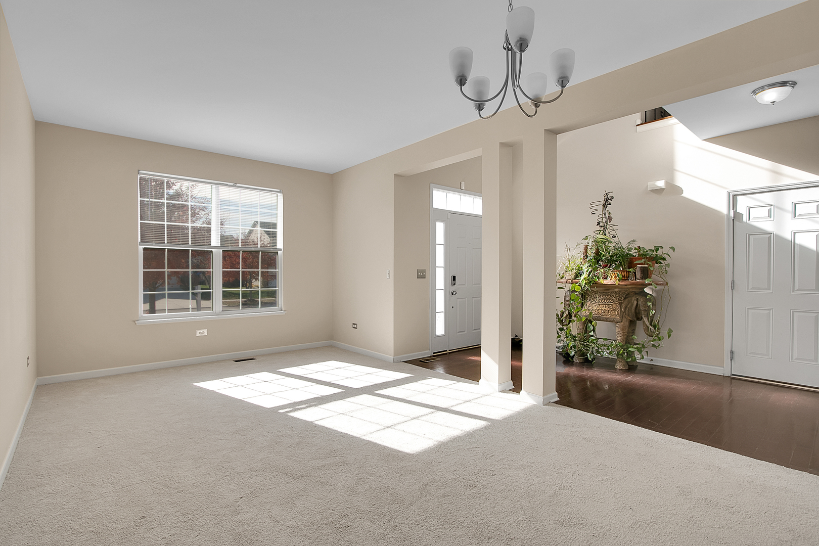 1120 TRILLIUM Lane, Shorewood, IL 60404