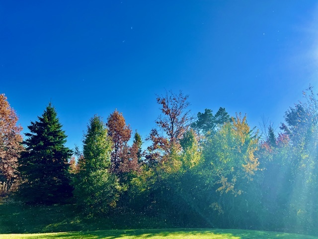 1328 Blue Heron Circle, Antioch, IL 60002